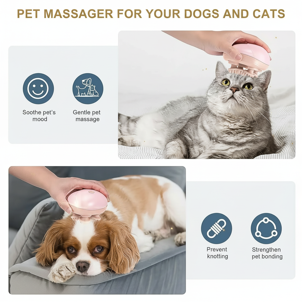 Electric Scalp & Head Massager